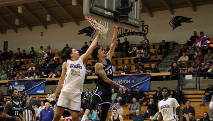 No. 4 Daemen Falls To No. 1 Saint Michael's In NCAA East Region Semifinals